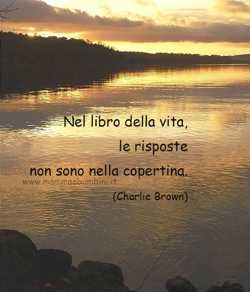 frase risposte della vita