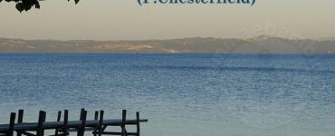 frase del giorno comportamento