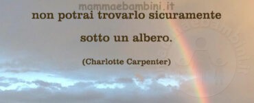 Frase del giorno 24 novembre sul Natale 1 frase del giorno natale