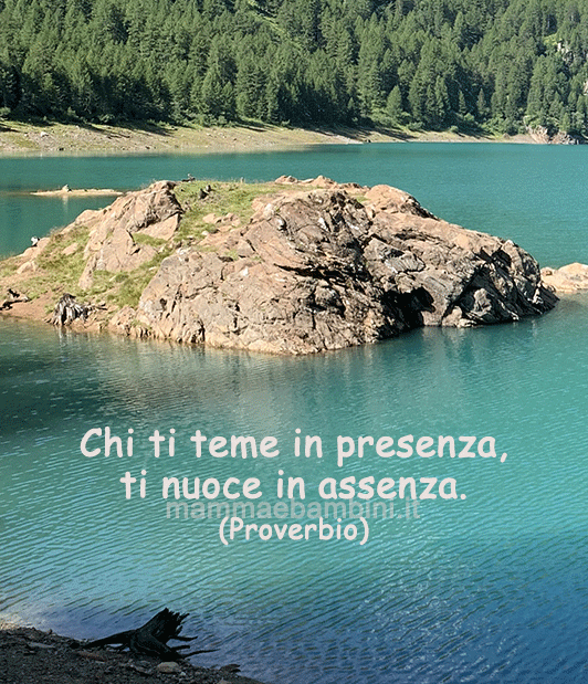 frase del giorno temere