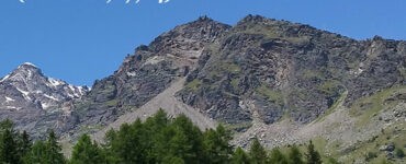 frase del giorno litigare