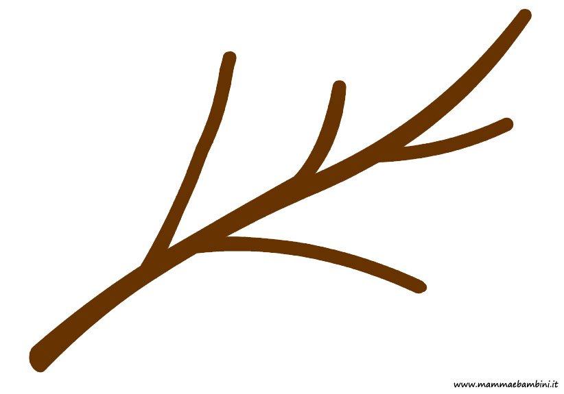 Disegni Fiori Di Pesco Da Colorare Disegni HD