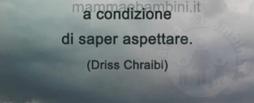 frase del giorno pazienza