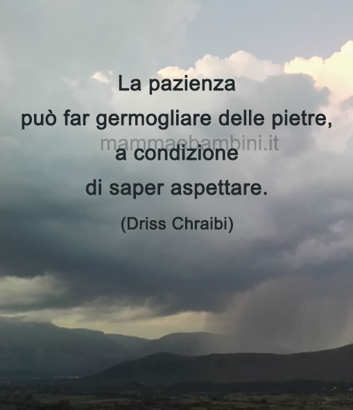 Frase del giorno sulla pazienza 1 frase del giorno pazienza