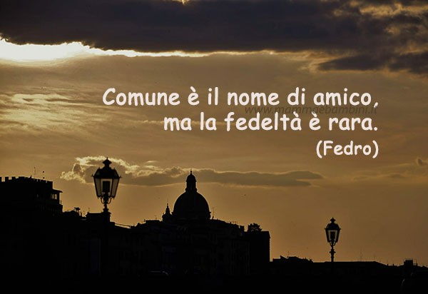frase del giorno amicizia