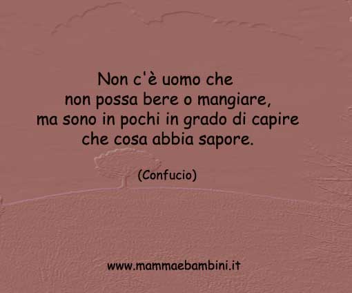 frase-del-giorno-sul-capire