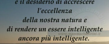 frase studiare