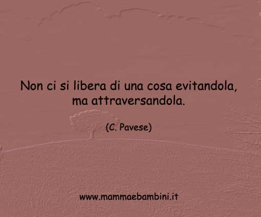 frase-del-giorno-sul-comportamento