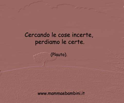 frase-del-giorno-cercare