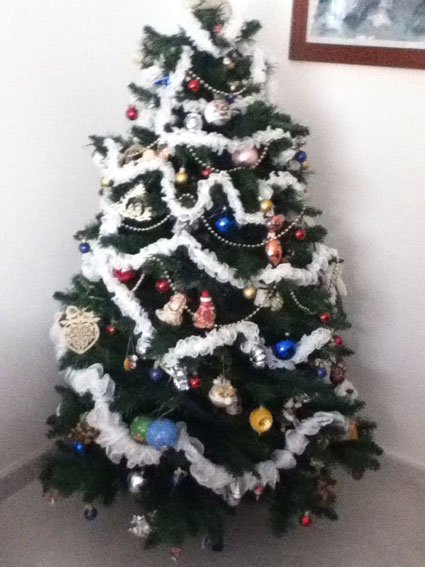 albero-mattia-e-alessandro-1