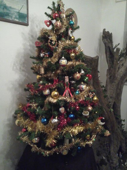 martina-e-davide-albero-e-presepe-3