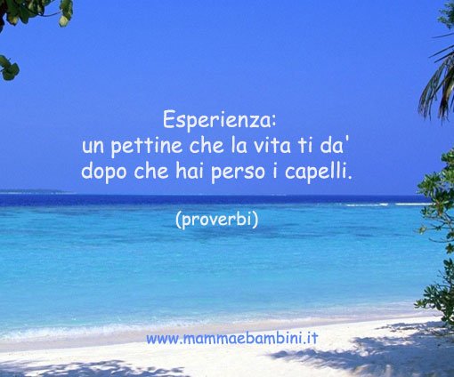 frase-sull'esperienza