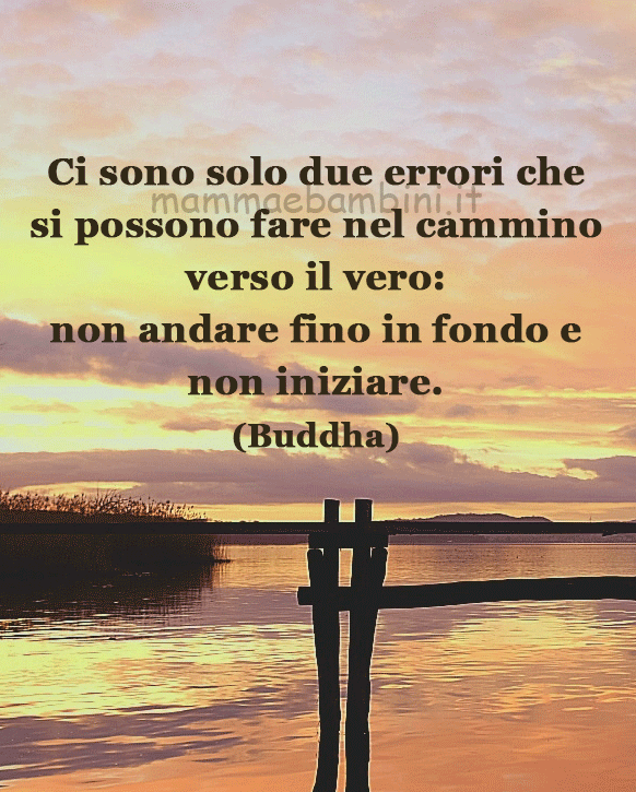 frase del giorno errori