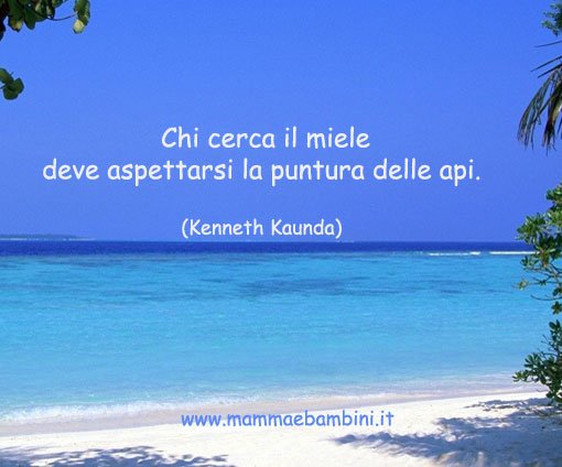 frasi sul cercare