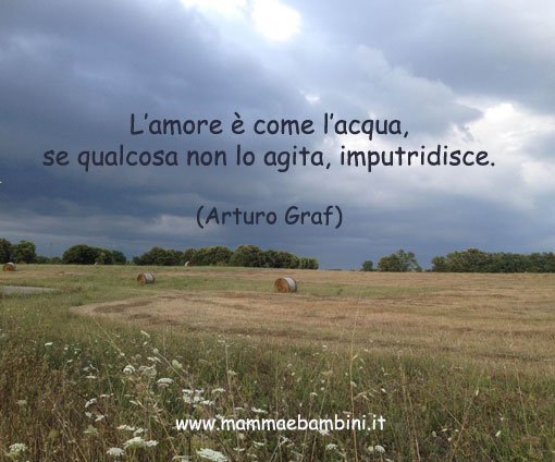 Frase del giorno 4 settembre sull'amore 2 frasi-sull-amore