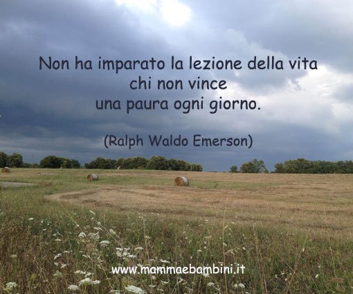 frase sulla vita
