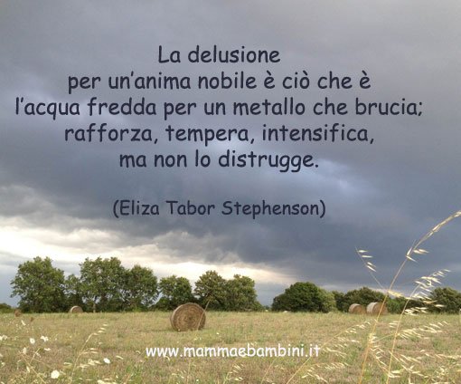 frasi delusione