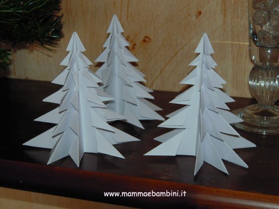 albero bianco 20