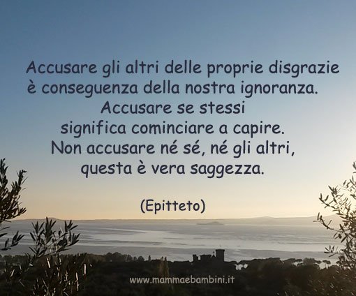 frasi su capire