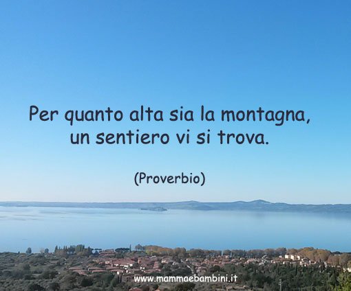 proverbio-sulla-viita