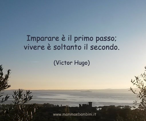 Frase del giorno 2 febbraio su vivere 1 aforismi-imparare