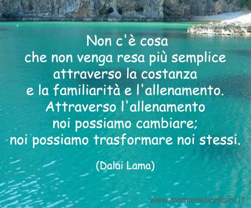 frasi costanza