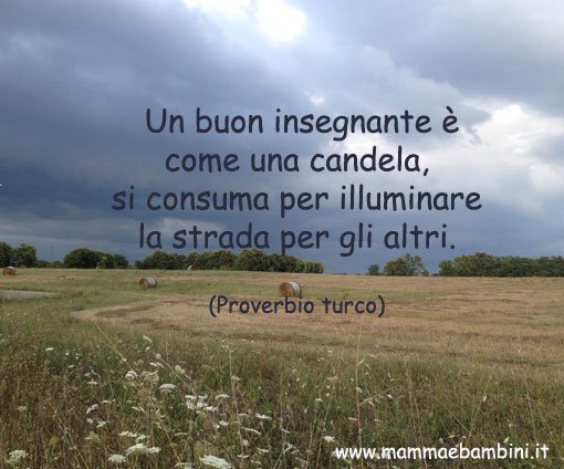 frase insegnante