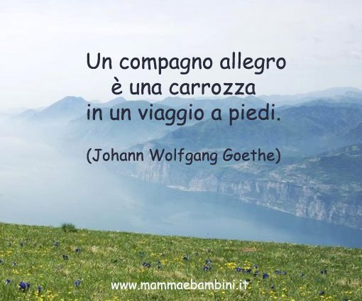 Frase del giorno 21 novembre sull'allegria 1 frase-compagnia