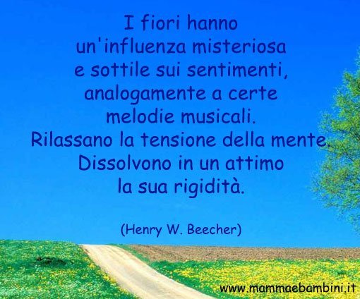 frase sui fiori