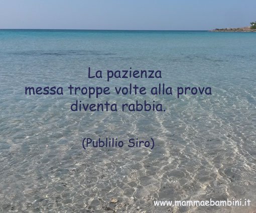 frase sulla pazienza 26 febbraio 2016