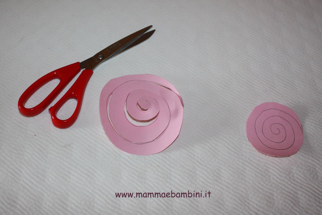 rosa-spirale-02