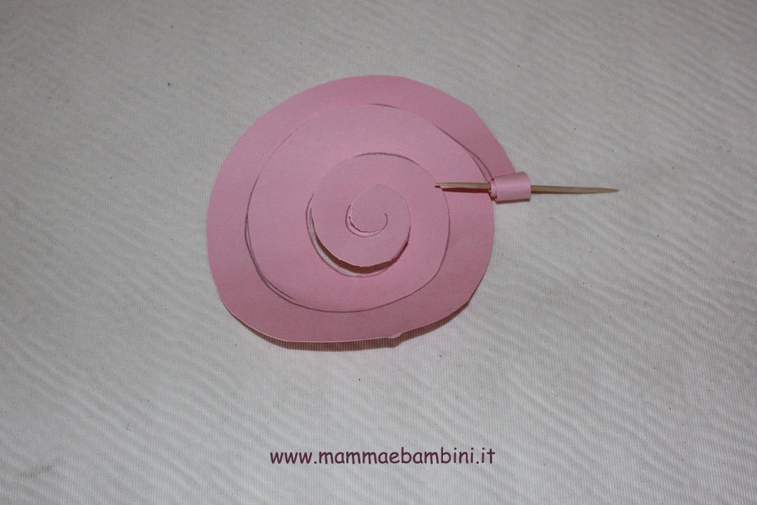 rosa-spirale-03