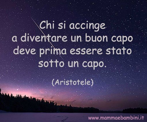 frasi sul capo