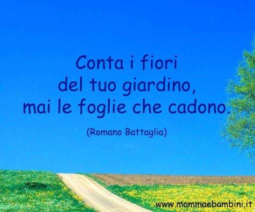 Frase sull'ottimismo 11 maggio 2016