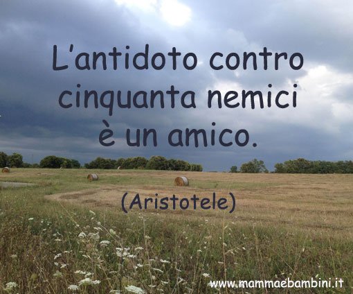 Frase sull'amico 7 luglio 2016