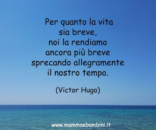 frase vita