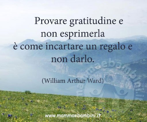 frase gratitudine