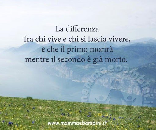 frase vivere