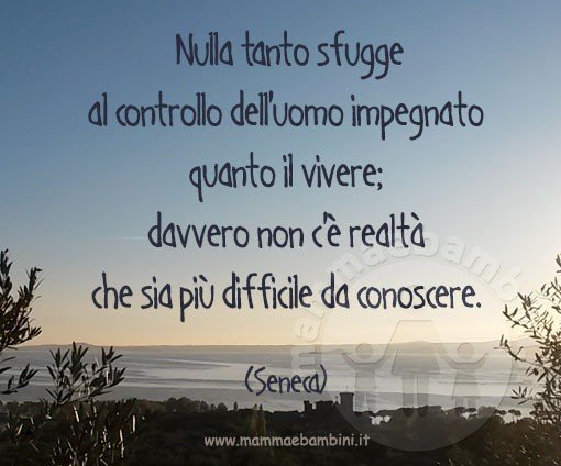 frase vivere