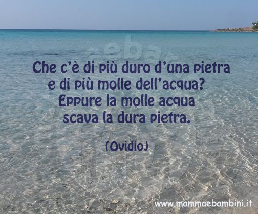 frase acqua