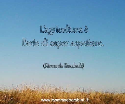 frase agricoltura