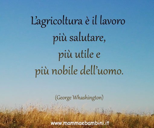 frase importanza agricoltura