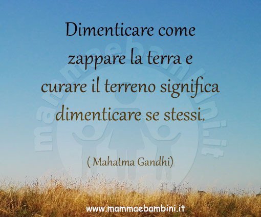 frase la terra