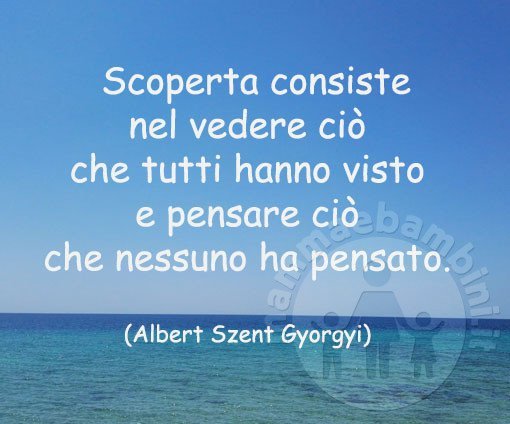 frase scoperta