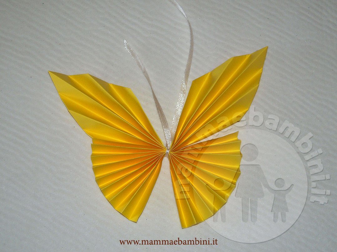 farfalla fisarmonica 03