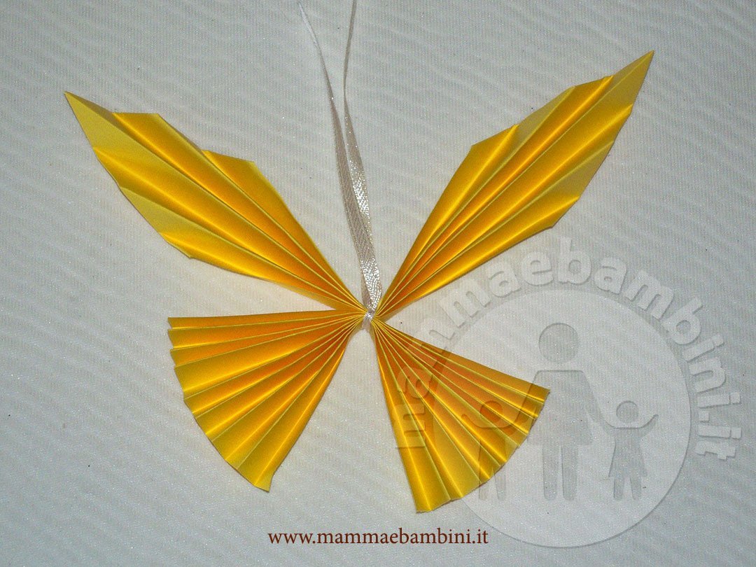 farfalla fisarmonica 04