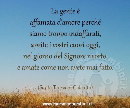 frase amare