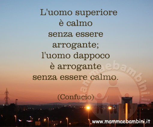 frase calma