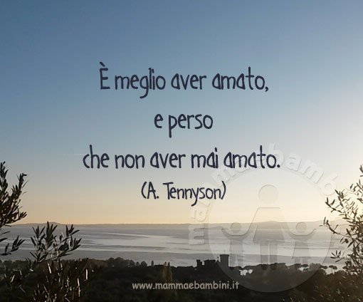 frase amare