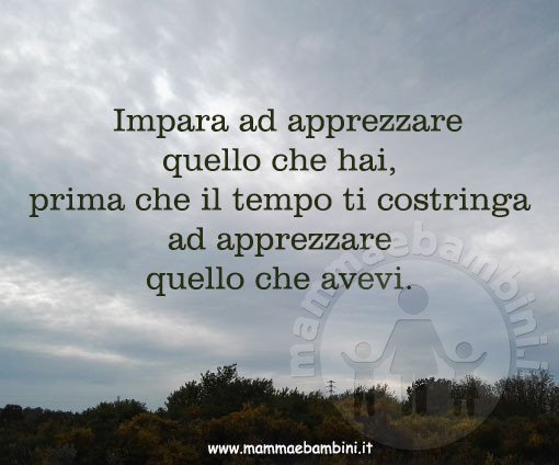 frase apprezzare